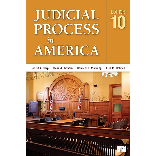 洋書 The Judicial Process Fourth Edition 51jLJaHCGWL._UF350,350_QL50_.jpg